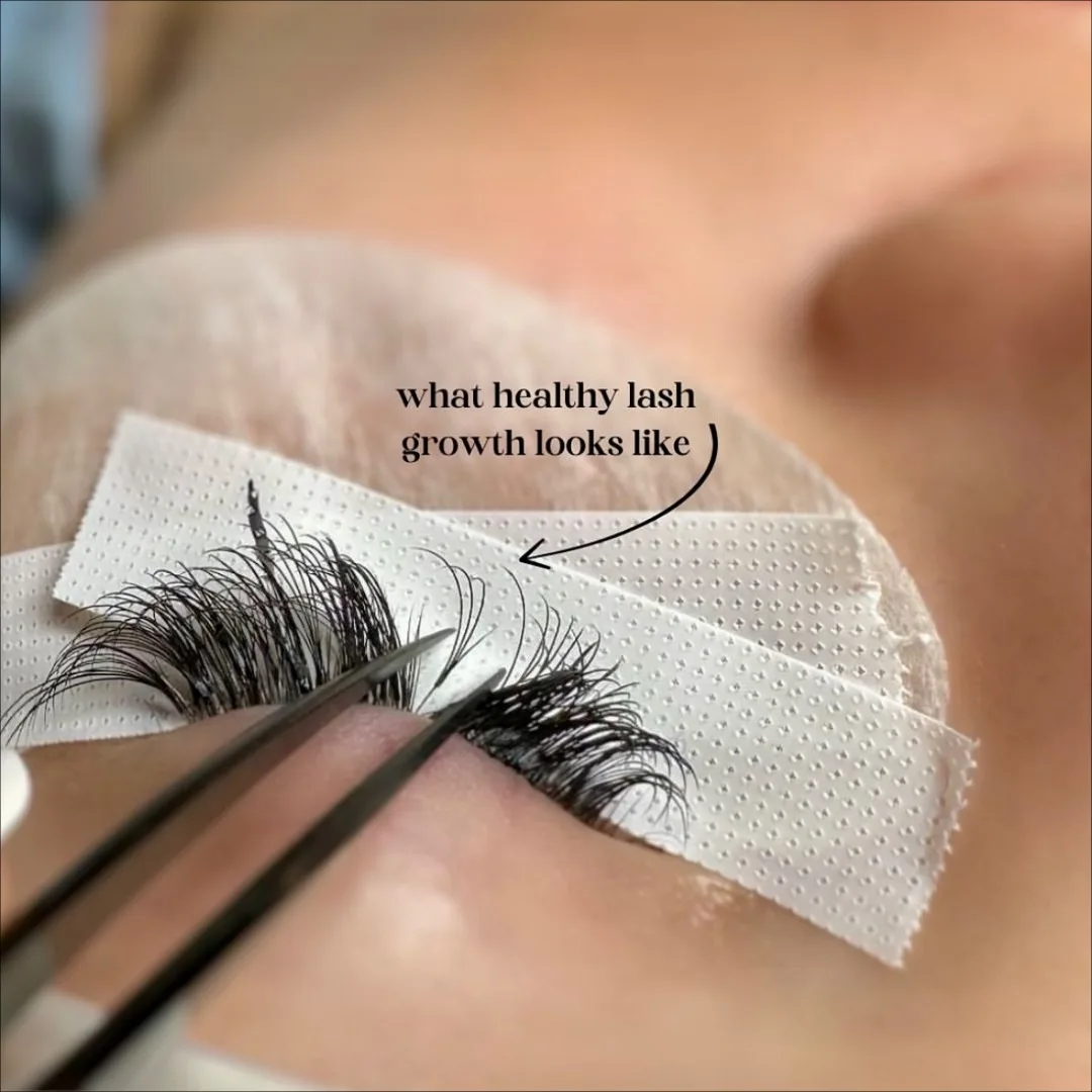 Lash Refill