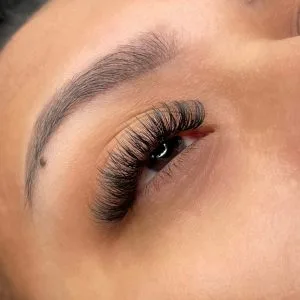 Hybrid Volume